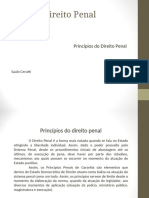 Direito Penal Principios Do Direito Penal 1722359571