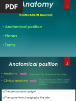 General Anantomy