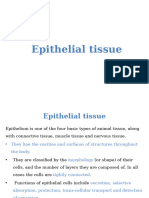 Epithelial Tissue