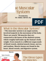 The-Muscular-System - 20241007 233312 0000