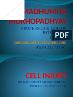 Cell Injury 1