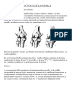 Fracturas de La Rodilla