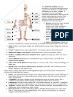 Skeletal System G4