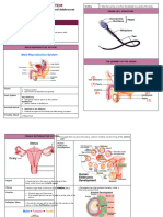 01 The Reproductive System