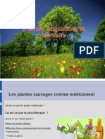 Plantes Utilisations Bienfaits 2