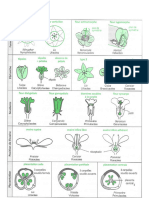 Cours Biologie Reprodution (Partie 2) L3 PDF