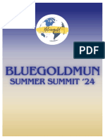 Bgmuns Summer Summit 24'disec Study Guide