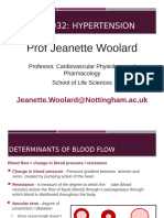 Lecture 14 - Hypertension