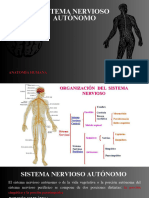 Sistema Nervioso Autónomo