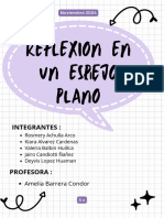 Reflexion en Un Espejo Plano: Integrantes