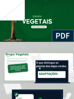 Aula 2 Vegetais