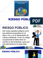 Riesgo Publico PDF