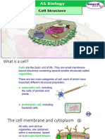 Cell Structure As NEW