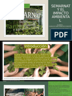 Semarnat y El Impacto Ambiental