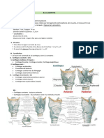 7.le Larynx