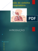 2 e 3 AULA - Fisiologia e Anatomia Sistema Respiratório