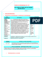 4° Ses Cyt Indagamos Sobre Pirotecnicos