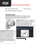 ATM Y MUSCULOS MASTICATORIOS 1°