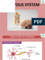 10 NERVOUS SYSTEM