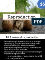 Ch 16 Reproduction