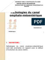 Présentation Pathologies Du Canal Omphalo-mésentérique (2)