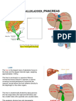 6-7 Digestive Liver Panc Bile Histo