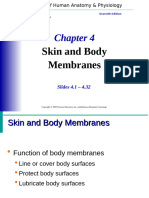 Human-Anatomy-Chapter-4