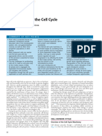 Control of the Cell Cycle