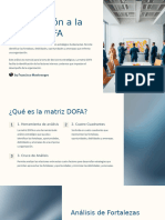 Analisis Matriz Dofa