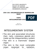 Integumentary System