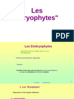 Les Bryophyte