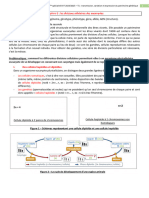 Chap5 Divisions Celluaires Eucaryotes ELEVES