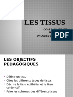 Les Tissus Dralaoui_090236