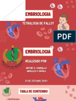 TETRALOGIA FALLOT EMBRIOLOGICAMENTE