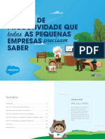 eBook 5 Dicas de Produtividade Para PMEs 1698801732