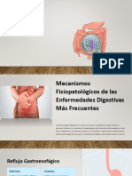 Mecanismos Fisiopatologicos de las Enfermedades Digestivas Mas Frecuentes