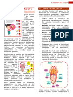 QUÉ ES EL GUSTO