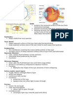 Sensory System - Eyes