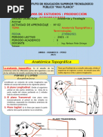 Activ. Aprendizaje N° 02