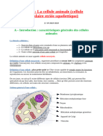 Partie 2  La cellule animale (cellule musculaire striée squelettique)