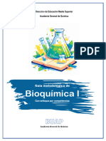 GUIA METODOLOGICA DE BIOQUÍMICA I AD 2024 F