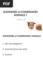 Lecture_03 Companion Animals 01