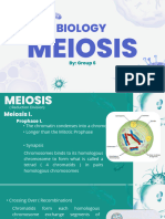 Meiosis-Gr.6 (1)