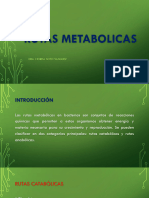 Rutas Metabolicas