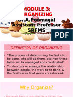 Module 3 Organising (1)