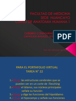 22.- N.3 GANGLIOS BASALES E HIPOTÁLAMO - Caceres Matos Felix Enrique (2)