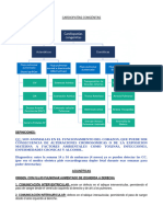 CARDIOPATIAS CONGENITAS CLASIFICACION Y DEFINICIONES.