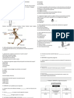 Trabajo Práctico de Ciencias Naturales