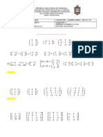 MATRICES Y DETERMINANTES ( GUIA #2)