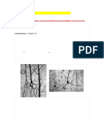 Modulo 1 Conceitos